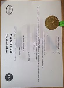 Hogeschool PXL diploma sample