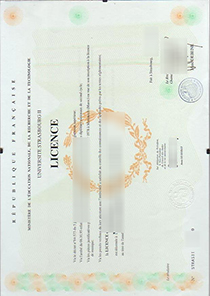 Université Strasbourg II diploma