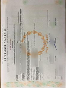 Hesam Université diploma sample