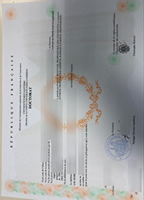 Université Paris-Nanterre diploma certificate