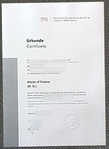 Hochschule Neubrandenburg Urkunde