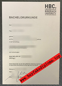 Hochschule Biberach urkunde