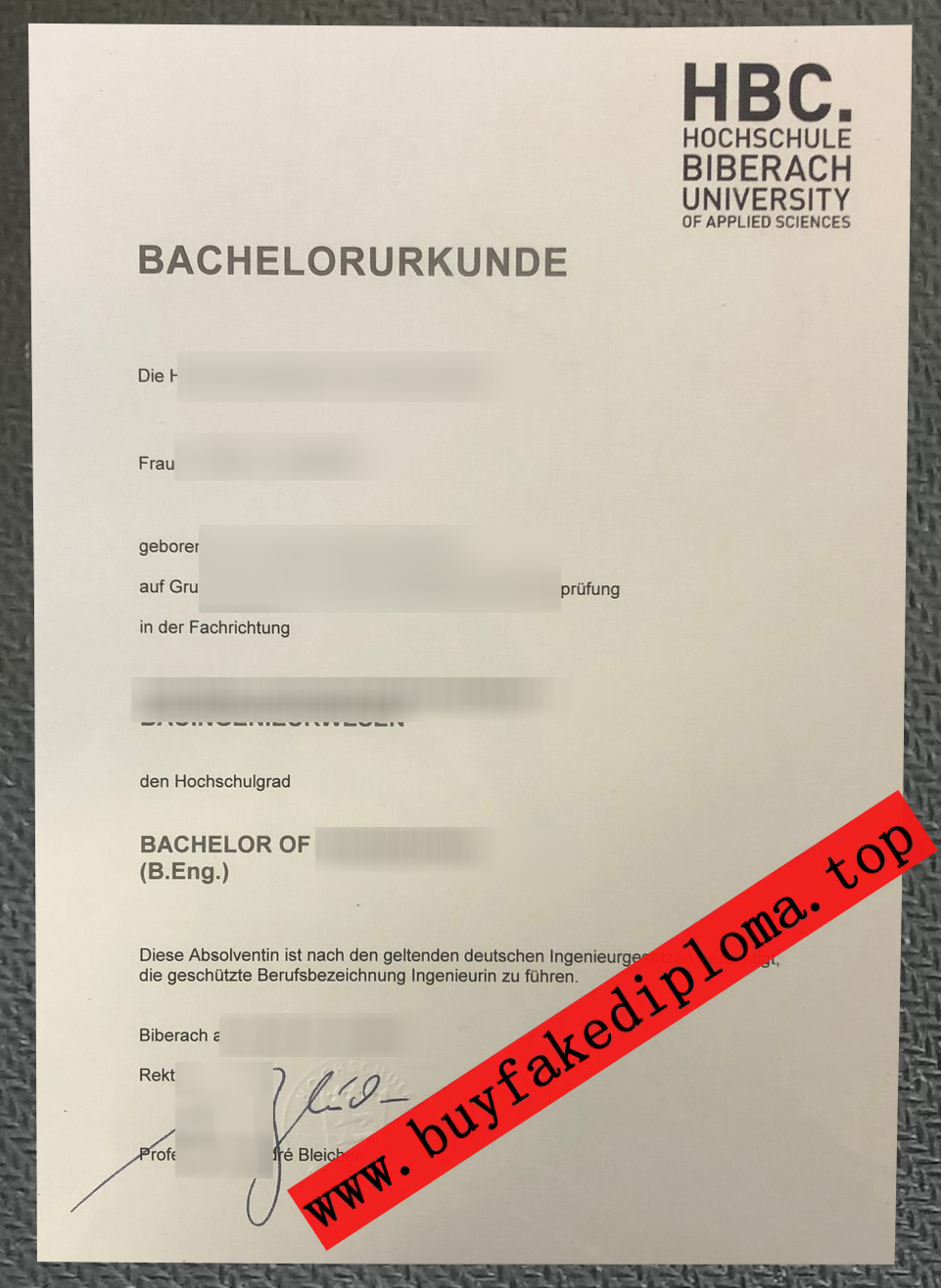 Hochschule Biberach urkunde